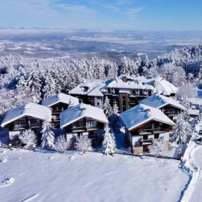 Picturesque Apartment in beautiful setting surrounded by Mountain and Ski Slope Views Borovetz